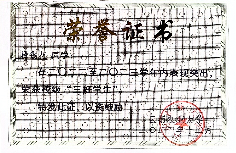 image10.jpeg